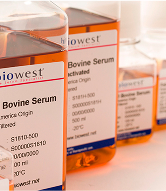 serum-bovino-fetal-biowest