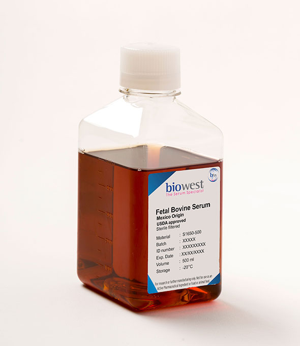 Suero Fetal Bovino Premium, Origen E.U.A., filtrado estéril, libre de micoplasma (50 ml)