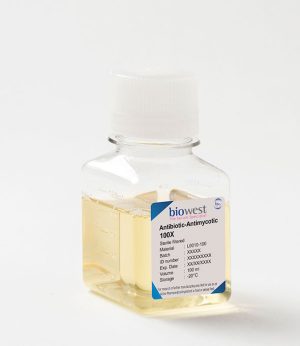 Antibiótico-Antimicótico 100X (BIO-L0010-100)