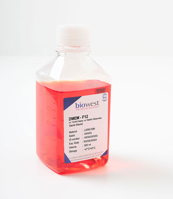DMEM- F12 con glutamina estable,15 mm HEPES y rojo de fenol