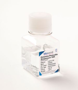 Glutamine-Penicillin-Streptomycin 100X (BIO-L0014-100)