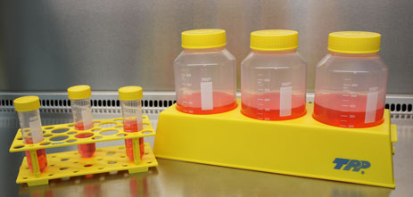Gradilla de polipropileno para bioreactor, 3 x 450 / 600, color amarillo