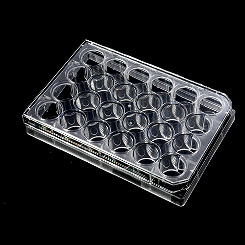 Placa para cultivo celular de poliestireno esteril – 24 pozos (paquete de 50 unidades)
