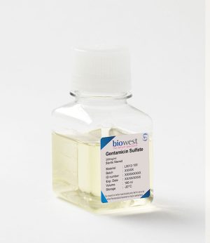 Sulfato de gentamicina 50 mg ml (BIO-L0012-100)